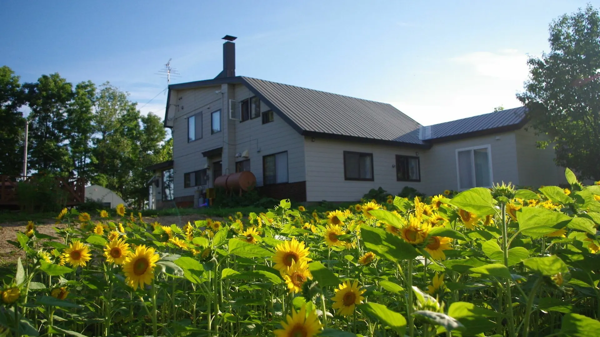 Guest house Guesthouse Akane-Yado Furano